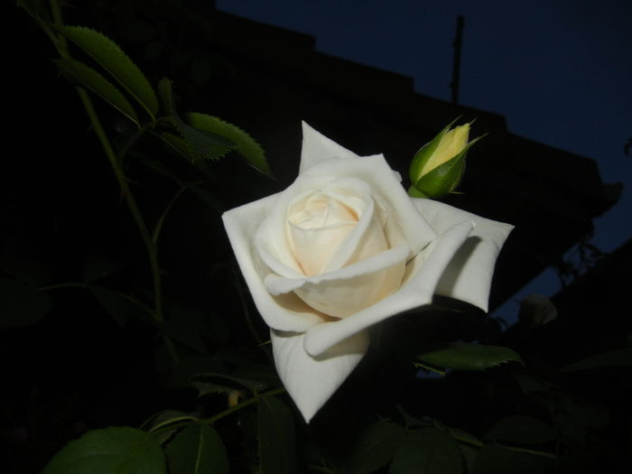 2015, May 24