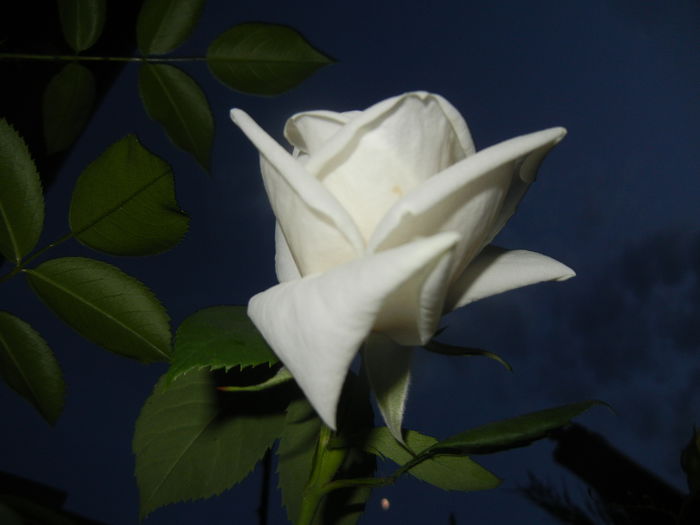 2015, May 24