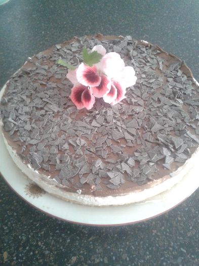 20150606_154812 - Cheesecake cu ciocolata