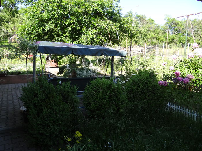  - Vara in gradina I