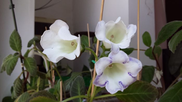 20150607_131155