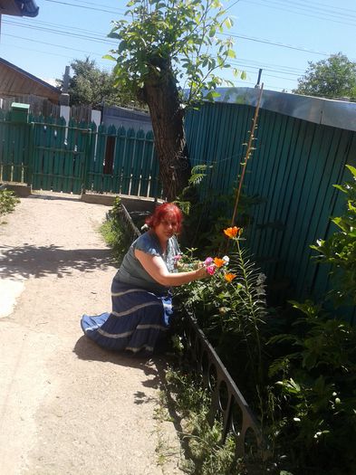 20150607_122749 - FLORI DIN GRADINA MAMEI MELE II 2015