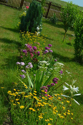 DSC_0014 - o6 iunie 2015