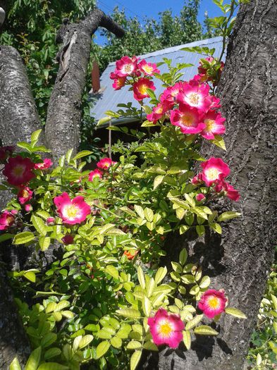 20150607_102127