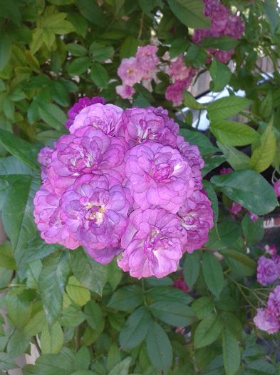20150607_081833