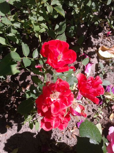 20150607_101730
