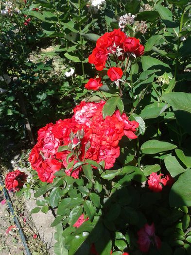 20150607_101852