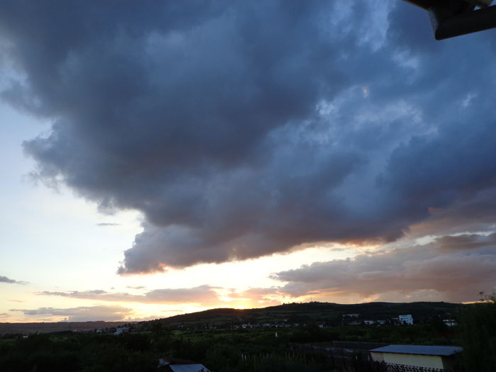 DSC07929