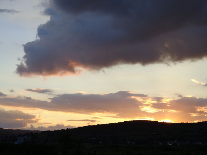 DSC07930
