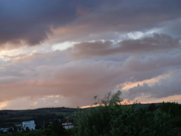 DSC07931