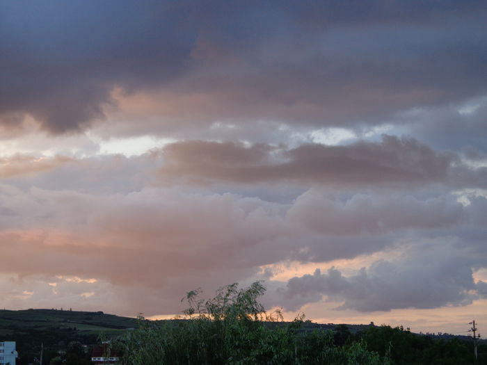 DSC07933