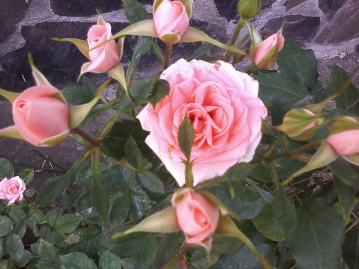 20150607_185256