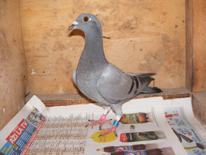 Picture 018 - PUI 2015