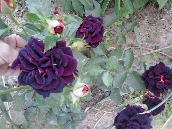 20150605_154507