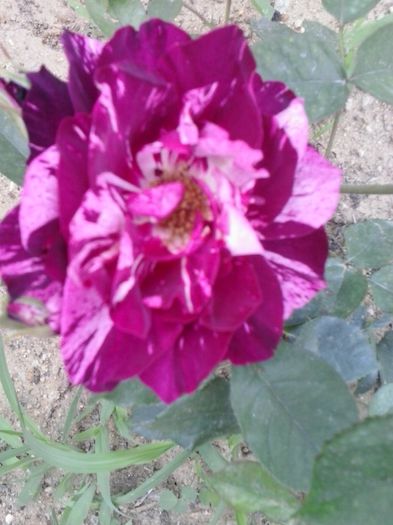 20150605_154540