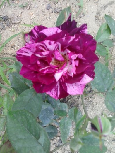 20150605_154543