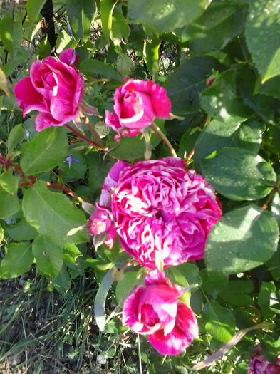 20150607_074511