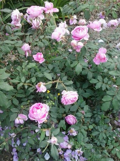 20150606_182853