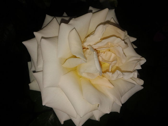 20150607_204317