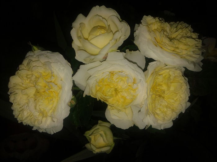 20150605_210627