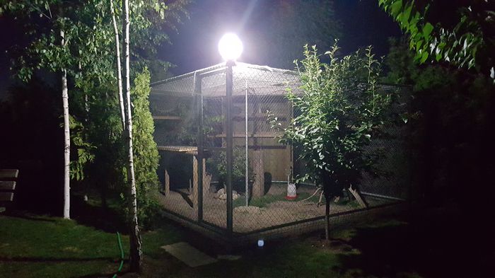 20150605_222631; Voliera himalaya-noaptea
