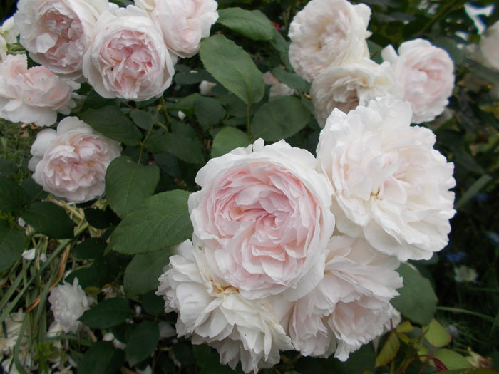 Winchester Cathedral