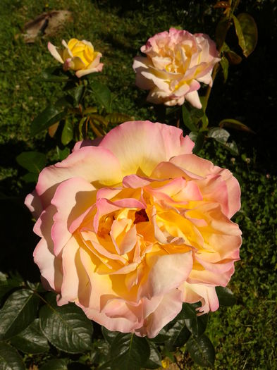 Fotografie0049