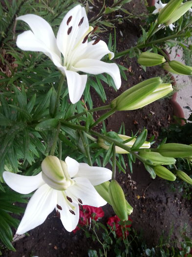 20150607_204503