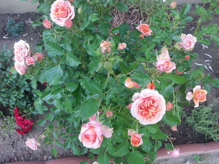 20150607_200208