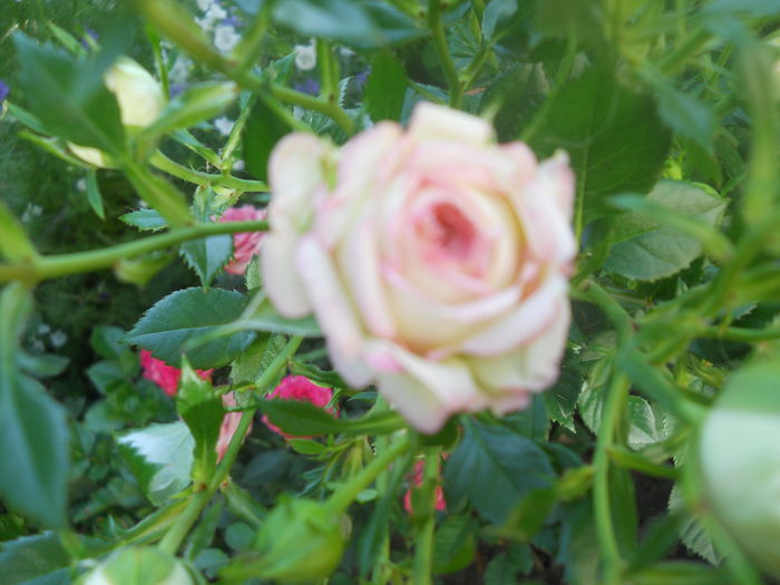DSCN7891
