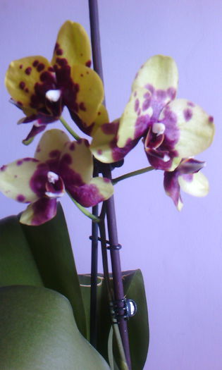 2015-06-07 18.48.21