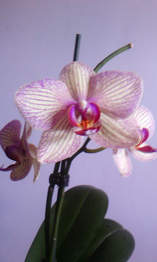 2015-06-07 18.54.07