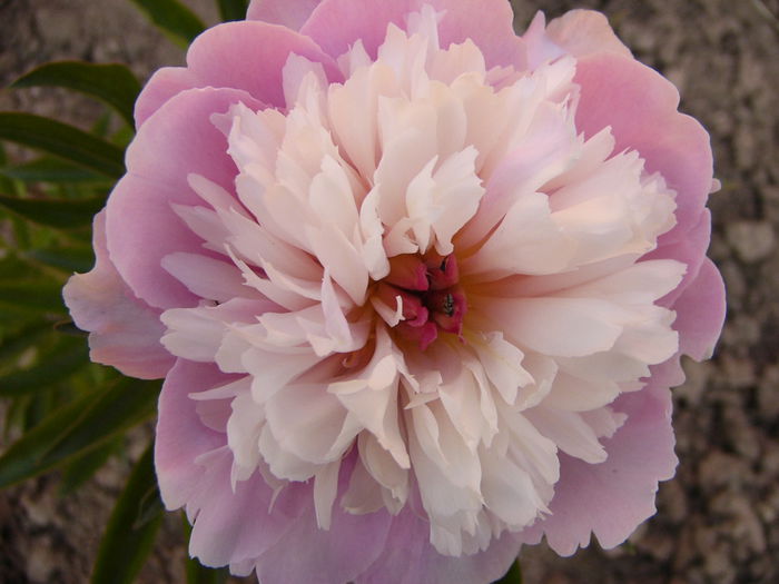 P1240644