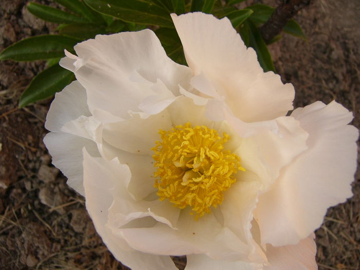 P1240647