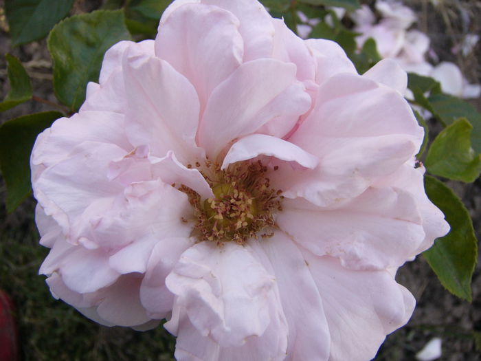 P1240657