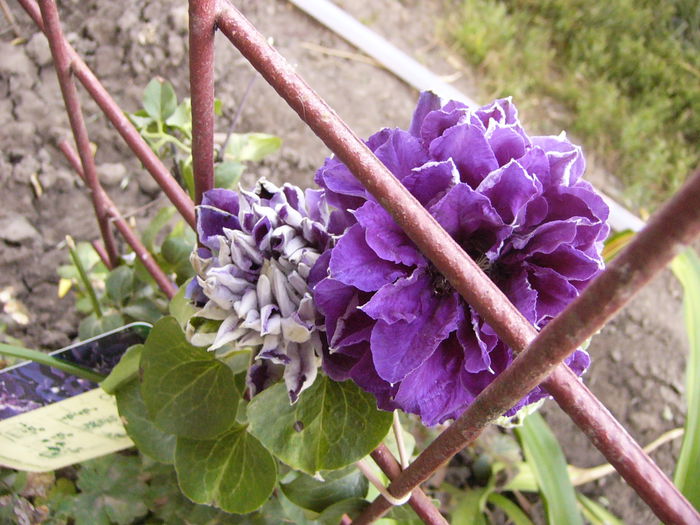 P1240663