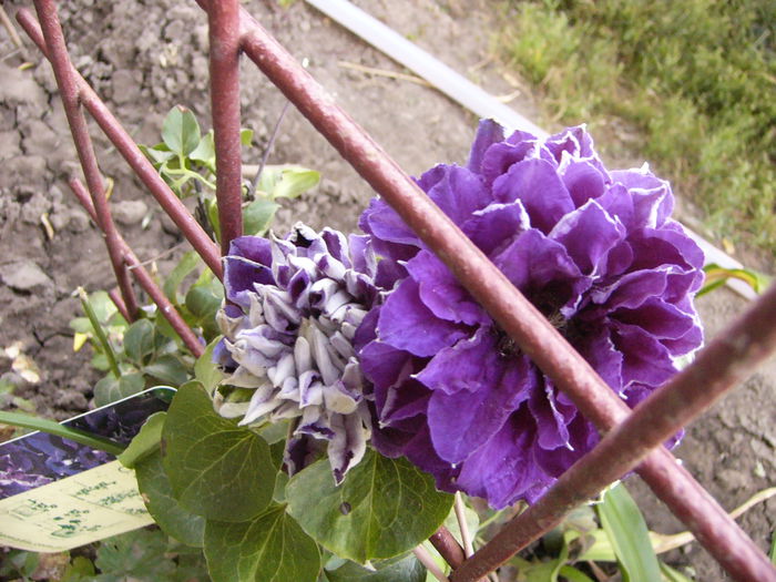 P1240664