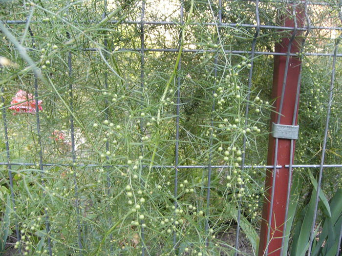 P1240668