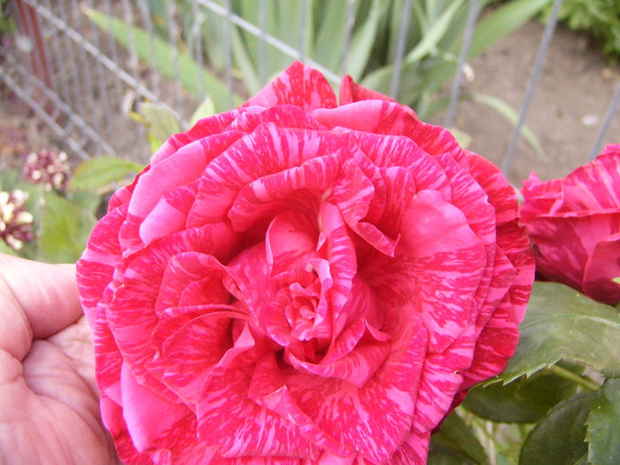 P1240674