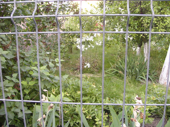 P1240694