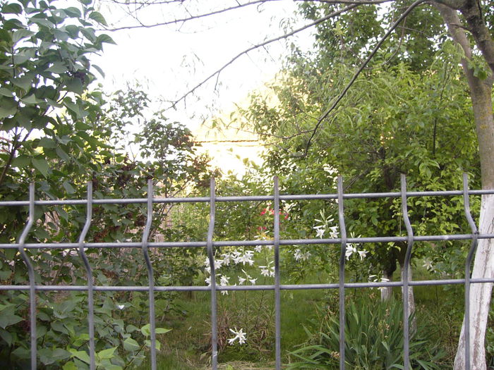 P1240696