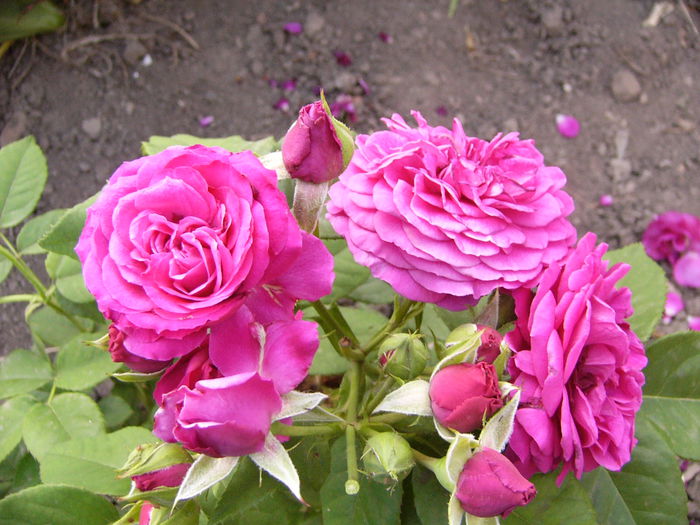 P1240703