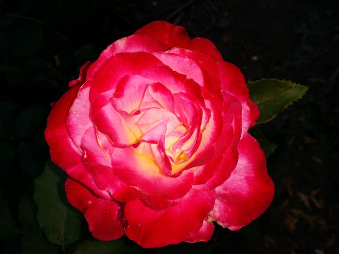 20150607_201931
