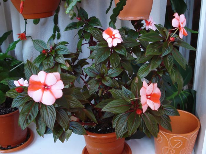 interior, iunie (1) - b 2015 - in interior