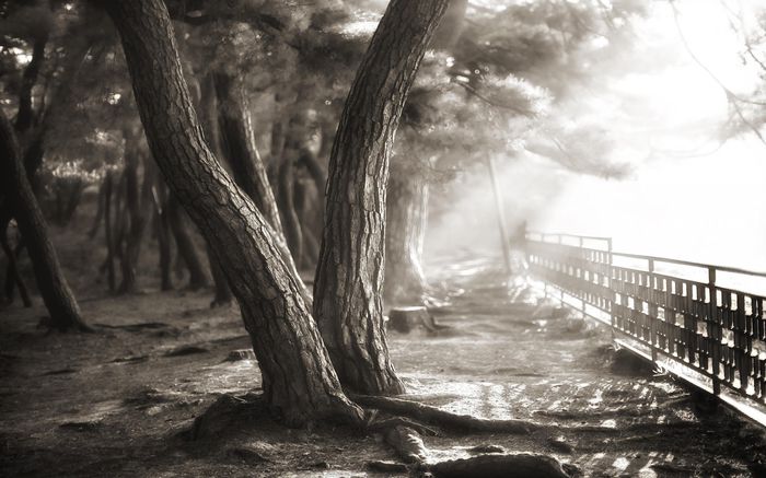 BestHDWallpapersPack1207_73 - DESKTOP NOI 2015