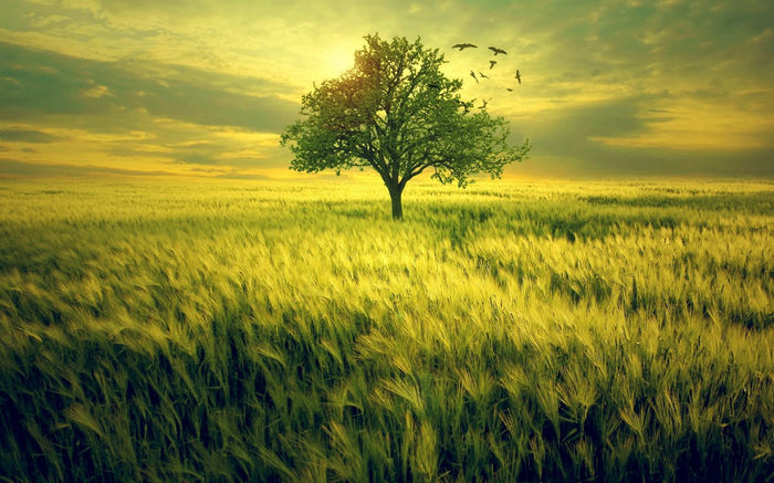 BestHDWallpapersPack1207_100