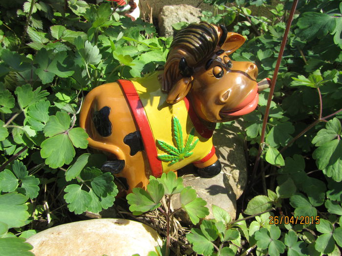 Populatia gradinii (8)