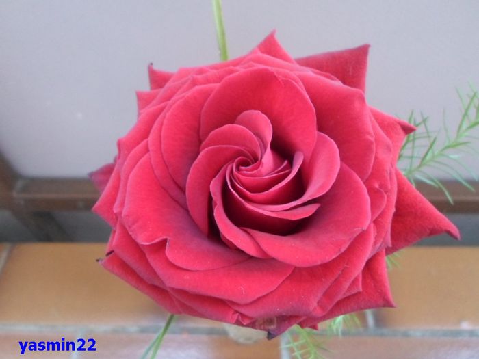 175   5 mai 2015