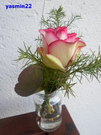 179   5 mai 2015