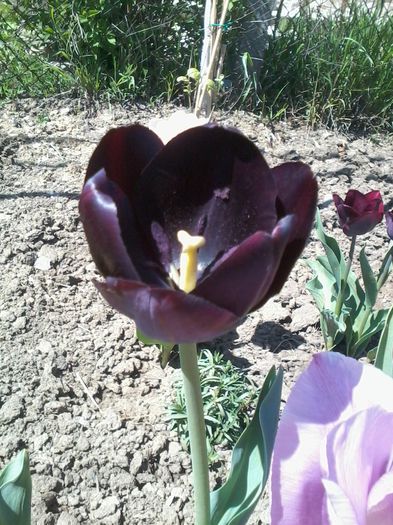 2015-04-24 12.23.29